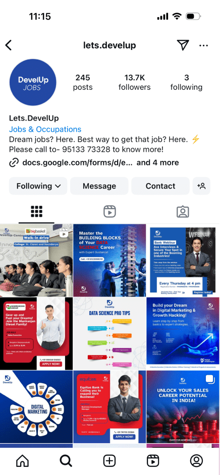 develup_instagram_profile